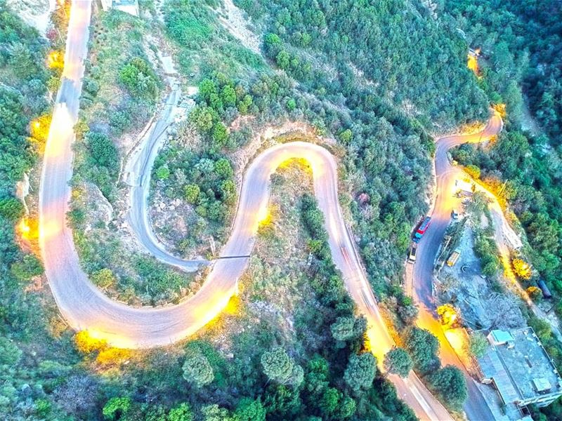 Pleasure for the eye ... Is it the Curvy road, the Pine trees, the... (Jeita Country Club)