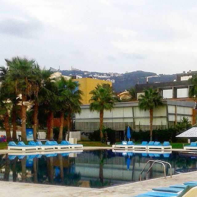 pool swimmingpool reflection palmtrees