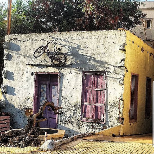 💜 Pop of colour 💛 (لبنان)