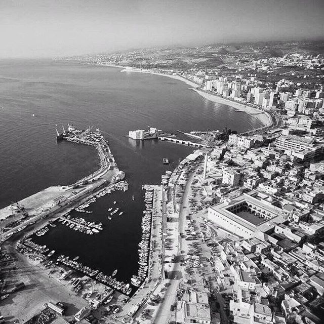 Port Of Saida In 1961 .