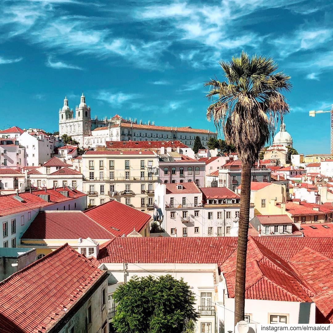 - Postcard from Lisbon -.... portugal_lovers  portugal  lisbonlovers ... (Lisbon, Portugal)
