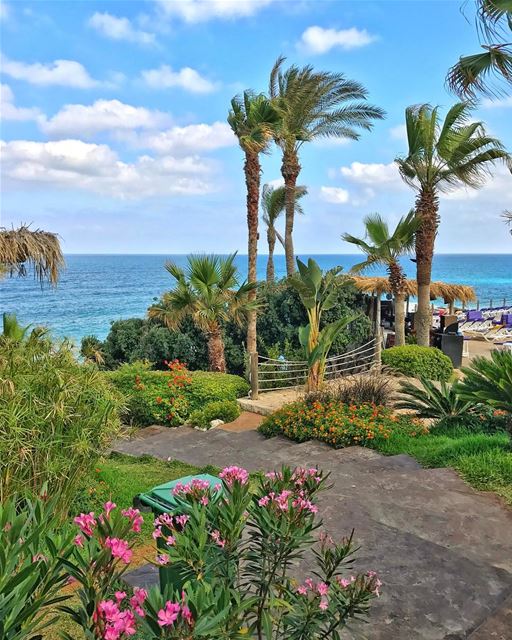 Postcard from the Mediterranean Sea 🌊 (Batroûn)