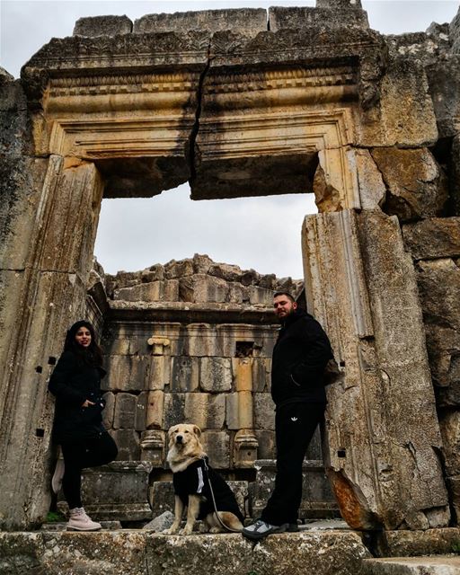  powercouple 💏 🐶 😍  rachaya  greektemple  withhim❤️  doglover  lebanon ...