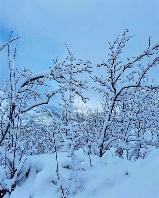 Prepare yourself for the weekendSkiing on a fresh snow ❄ groupez  faraya... (Faraya, Mont-Liban, Lebanon)
