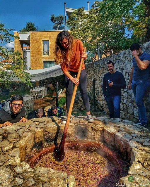 Preparing Polyjuice Potion (allows a human drinker to temporarily assume... (Kornet el Hamra  قرنة الحمراء)