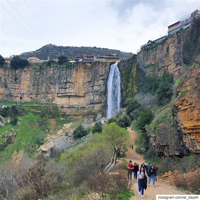 Pride of lebanon🇱🇧🇱🇧💕💕 naturelover  naturephotography ...