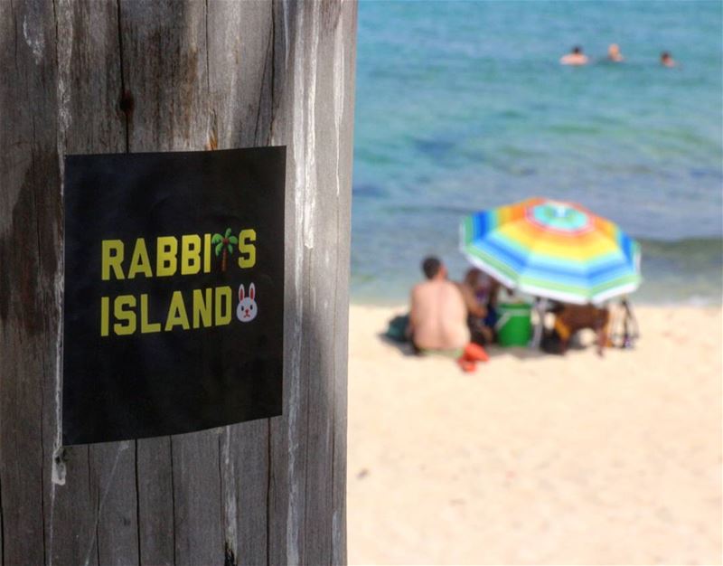 🏖 Probably the last summer pic this year ⛱☹ (Palm Islands- El Mina Lebanon)
