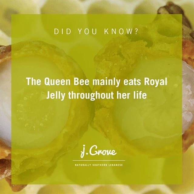Produced by worker bees, Royal Jelly is the Queen Bee's diet throughout...