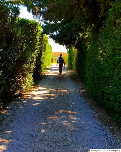 Program your brain to walk towards the light until you become the light 🇱� (West Bekaa)