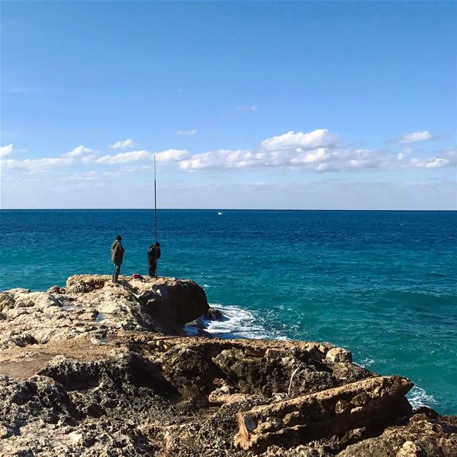 🎏🐟🐠🐡🦀🦐•••••••••••••••••• prolebanon  igersworldwide  sea ... (Anforini)