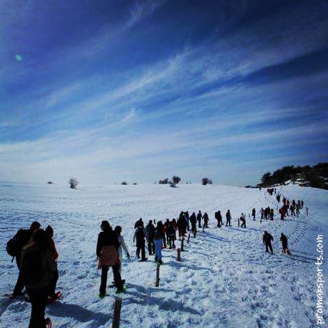  promax  snowshoeing  adventure  tannourine  nature  reserve  green ...