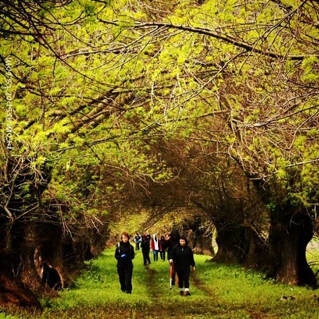  promaxsports  hike  hiking  hikingtrail  hikingadventures  hikingtime ... (Ammiq - Bekka)