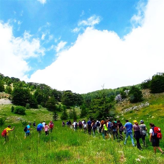  promaxsports  hike in  shouf  cedar  forest  reserve  lebanon...