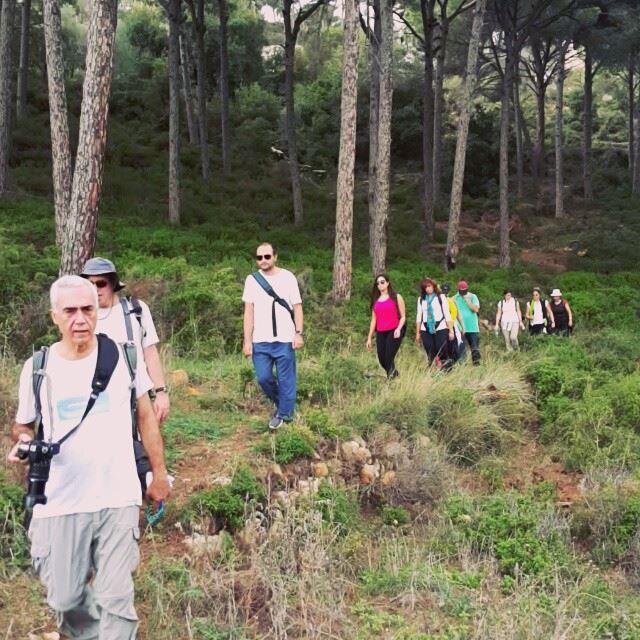  promaxsports  hiking  lebanese  trails  hikinglebanon  green  culture ... (Brummana)