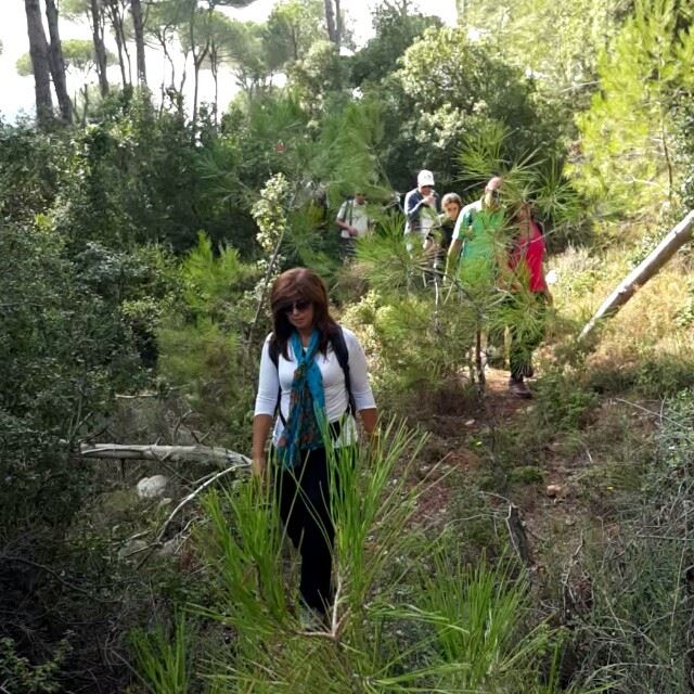  promaxsports  hiking  lebanese  trails  hikinglebanon  green  culture ... (Brummana)