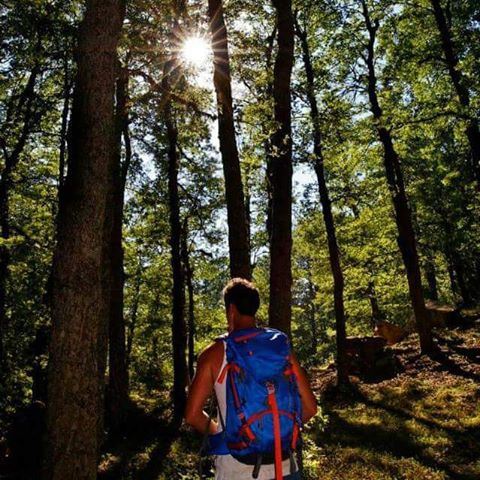  promaxsports  hiking  sun  sunshine  nature  naturelovers  earth  connect...