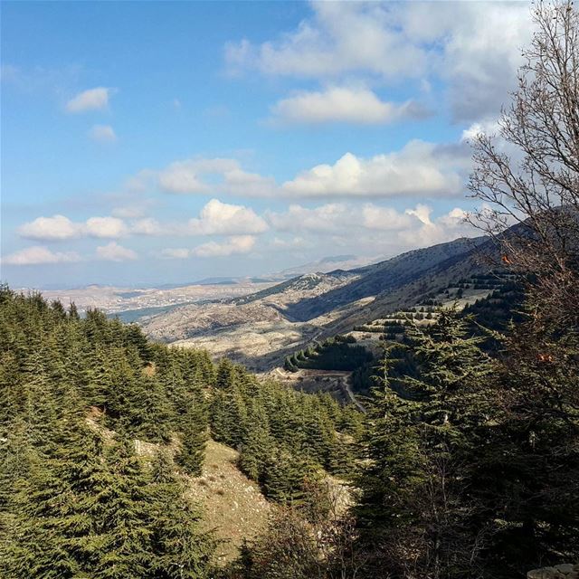  promaxsports  hikinglebanon  autheticshouf  hikelebanon ... (Al Shouf Cedar Nature Reserve)
