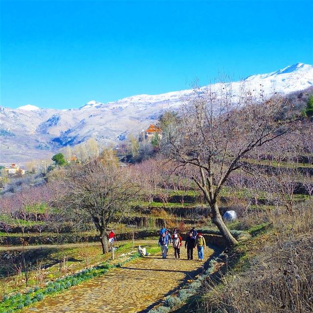  promaxsports  hikinglebanon  mashiya  tannourine  hiking  lfl ... (Châtîne, Liban-Nord, Lebanon)