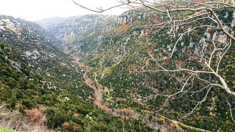  promaxsports  hikingtrails  lebanontrail  hikinglebanon  walklebanon ... (Faytroun Village)
