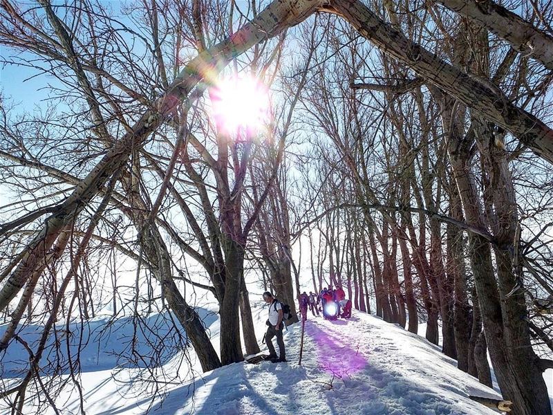  promaxsports  laqlouq  laqlouk  snowshoeing  snowshoeinglebanon ... (Laklouk - Lebanon)