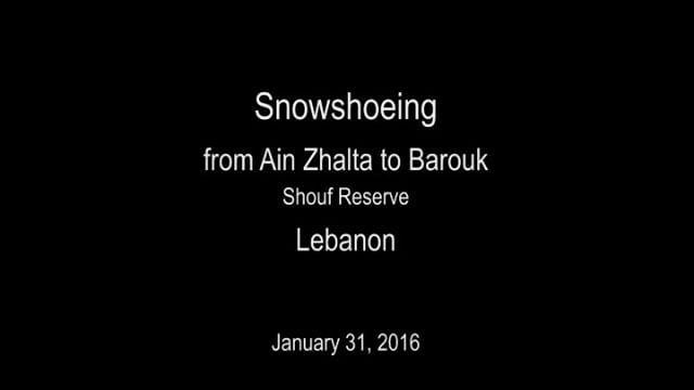  promaxsports  shouf  authenticshouf  choufreserve  baroukcedars ... (Aïn Zhalta, Mont-Liban, Lebanon)