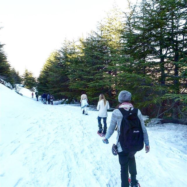  promaxsports  shouf  authenticshouf  choufreserve  baroukcedars ... (Al Shouf Cedar Nature Reserve)