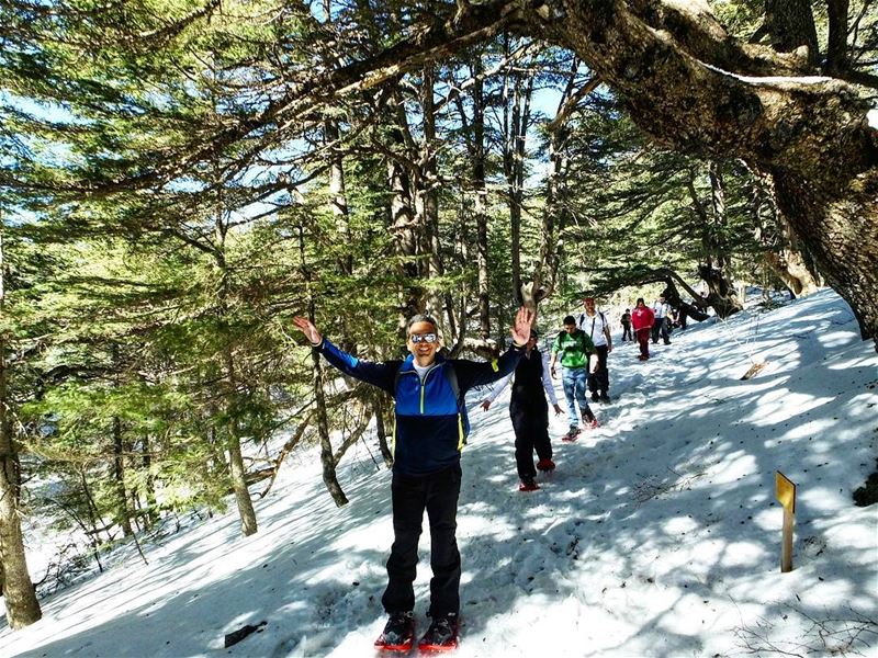  promaxsports  shouf  authenticshouf  choufreserve  baroukcedars ... (Al Shouf Cedar Nature Reserve)