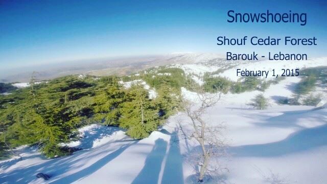  promaxsports  shouf  authenticshouf  choufreserve  baroukcedars ... (Barouk Cedar Forest)