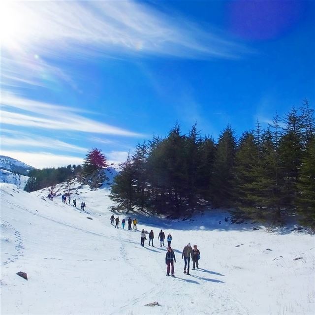  promaxsports  snowshoeinglebanon  mashiya  snowshoeing  hiking  lfl ... (Arz el Bâroûk)