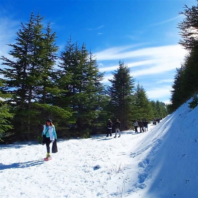  promaxsports  snowshoeinglebanon  mashiya  snowshoeing  hiking  lfl ...