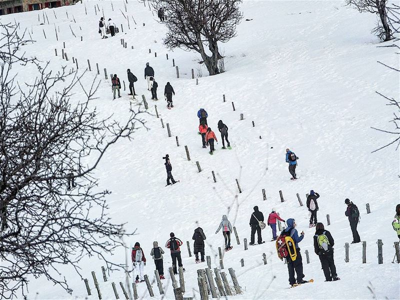  promaxsports  tannourine  tannourinereserve  snowshoeing ... (Tannourine,  Liban-Nord,  Lebanon)