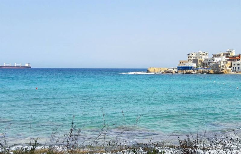 🌊  protectoursea  summervibes  summerday  CleanSeas  main_vision  Lebanon... (NCMS-National Center for Marine Sciences  / CNRS-Lebanon)