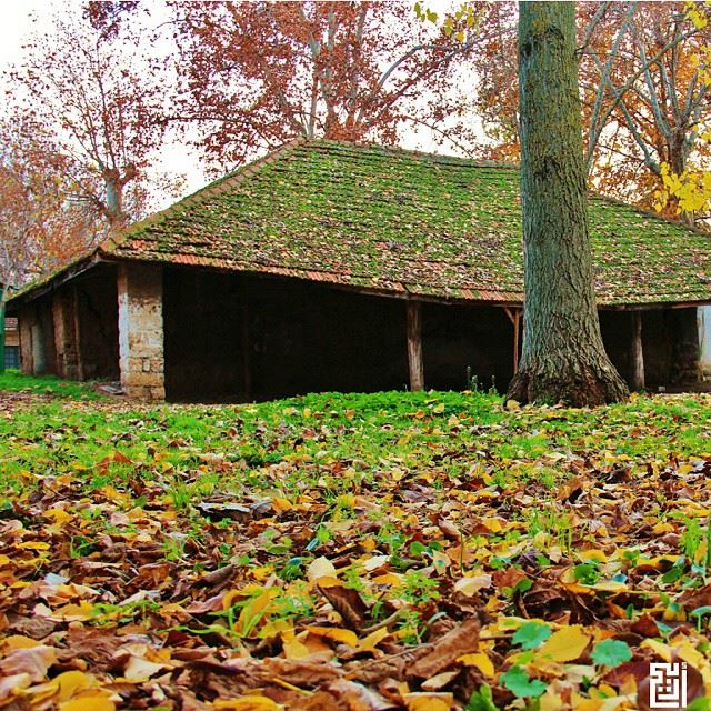  proudlylebanese  livelovebeirut  wearelebanon  ig_lebanon   insta_lebanon... (Taanayel- Bekaa)