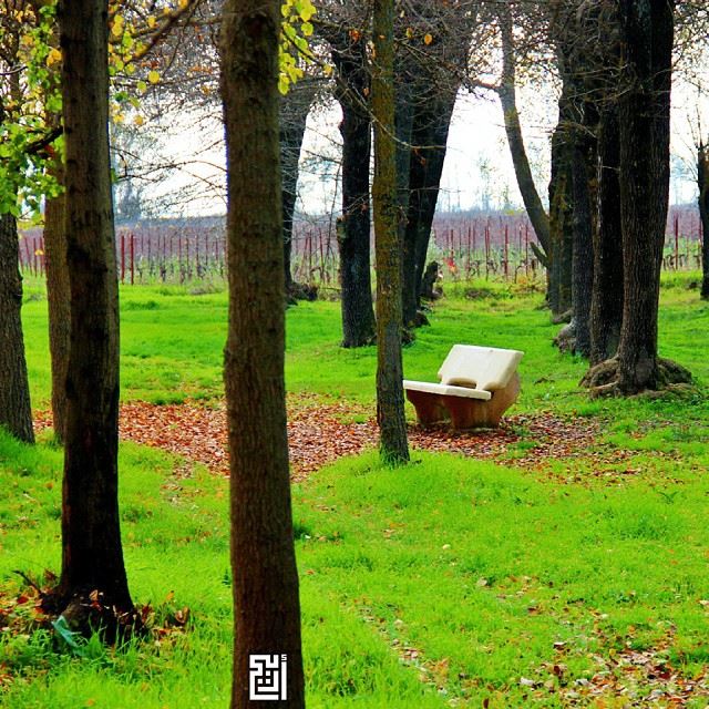  proudlylebanese  livelovebeirut  wearelebanon  ig_lebanon   insta_lebanon... (Taanayel- Bekaa)