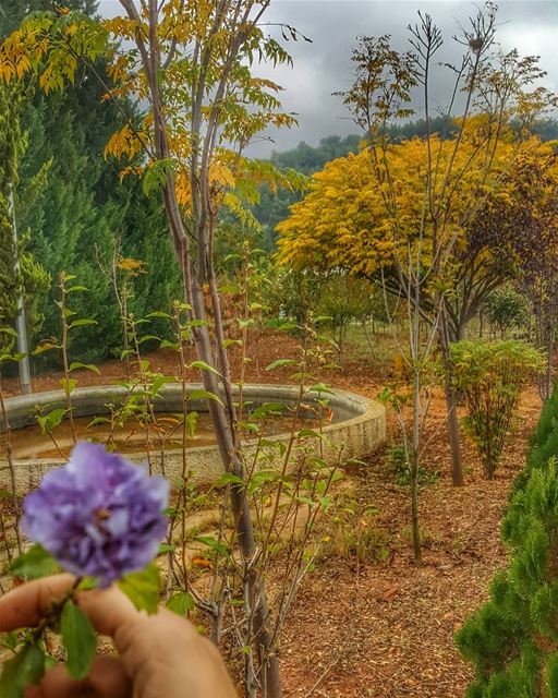  ptk_lebanon  ig_color  super_lebanon  loves_lebanon  hdr  hdr_oftheworld ... (Kâf El Malloûl, Liban-Nord, Lebanon)