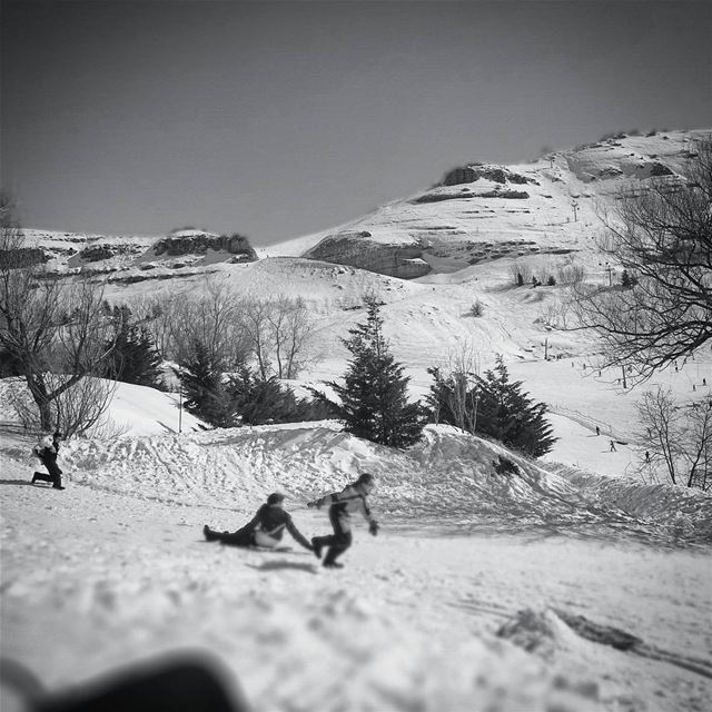 Pull harder -  ichalhoub in  laqlouq mount  Lebanon shooting with a ...
