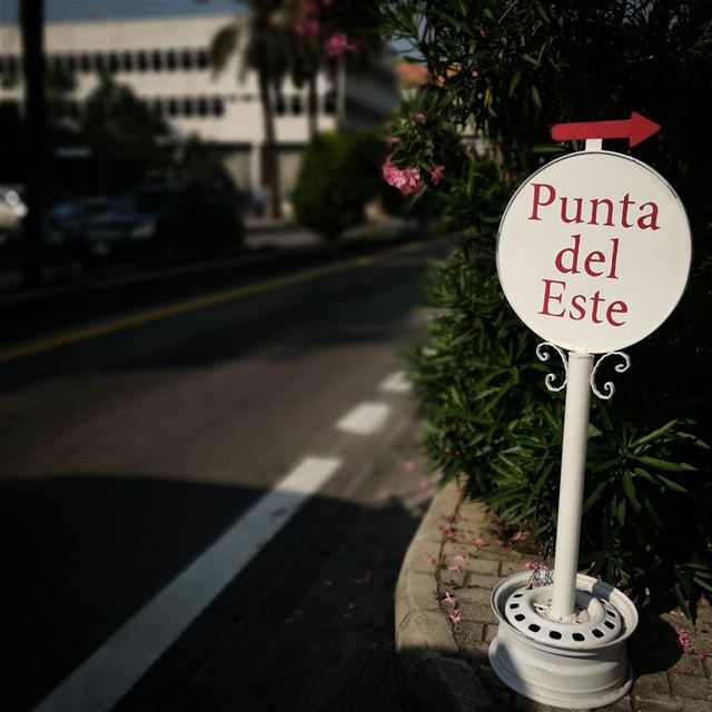 Punta del Este en Líbano 😂 -  ichalhoub in  jounieh  Lebanon / ...