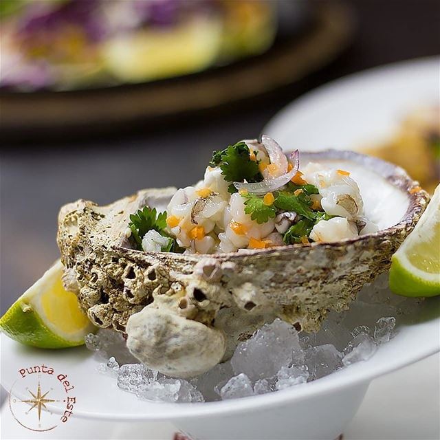 @puntadelestelb -  Showcasing the rich flavors of our Ceviche in the... (Punta Del Este)