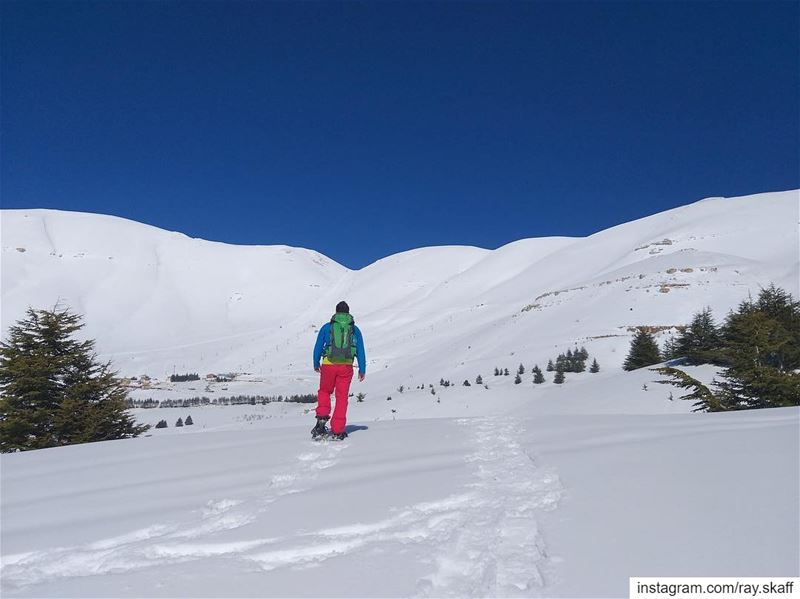 Pure white‼️... ............... lebanon  nature ... (Pluto.)