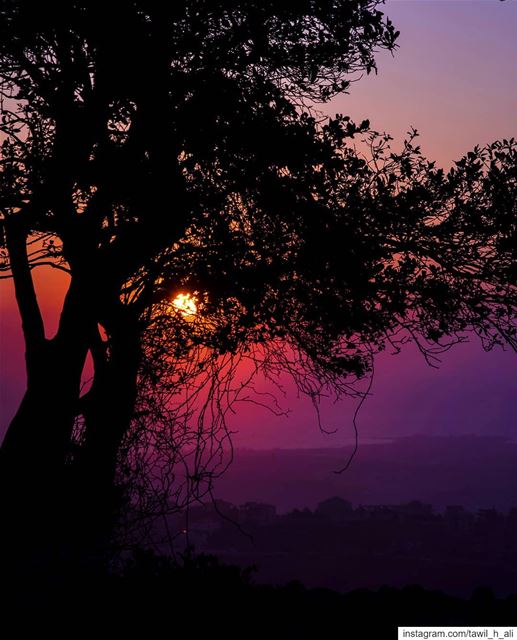 Purple Sunset 🌄------- sunset  sunset_pics  dusk  ig_shotz ... (South Governorate)