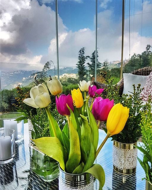 Put some color in ur life  flowers  spring  nature  home  brummana  mytown... (Brummana)