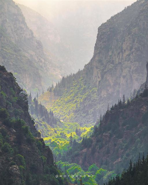 Qadisha Valley • Lebanon 🇱🇧..... photoshop  artofvisuals ig_color ... (Kadisha Valley)