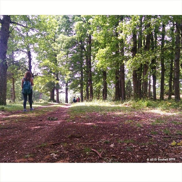  qamou3a  ammoy3a  akkar  hiking  forest  lebanon  colorful ... (Ammou3a)