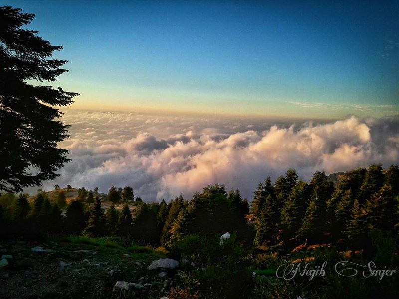  qamouaa  sunset  fog  woods  clouds  akkar  hiking  hikingadventures ... (`Akkar, Liban-Nord, Lebanon)