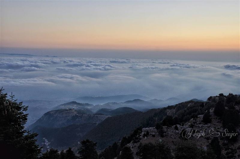  qamouaa  sunset  fog  woods  clouds  akkar  hiking  hikingadventures ... (القموعة-عكار العتيقة)
