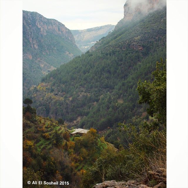  qanobeen  qannoubine  holy  valley  nature  mountain  lebanon  colorful ...