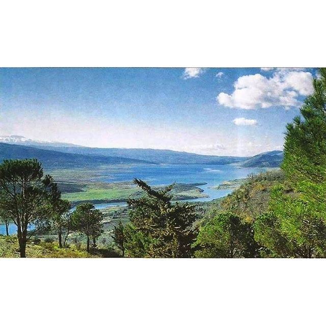 Qaraoun Lake WestBekaa 1967 .