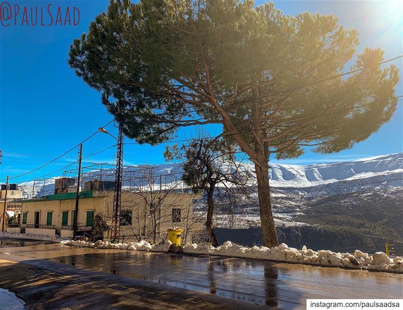  qartaba  kartaba  lebanon  tree  road  snow  mountain  jbeil ... (Qartaba)