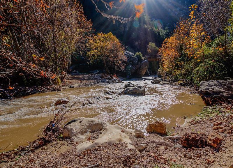  qartaba  lebanon  river ... (Janné, Mont-Liban, Lebanon)