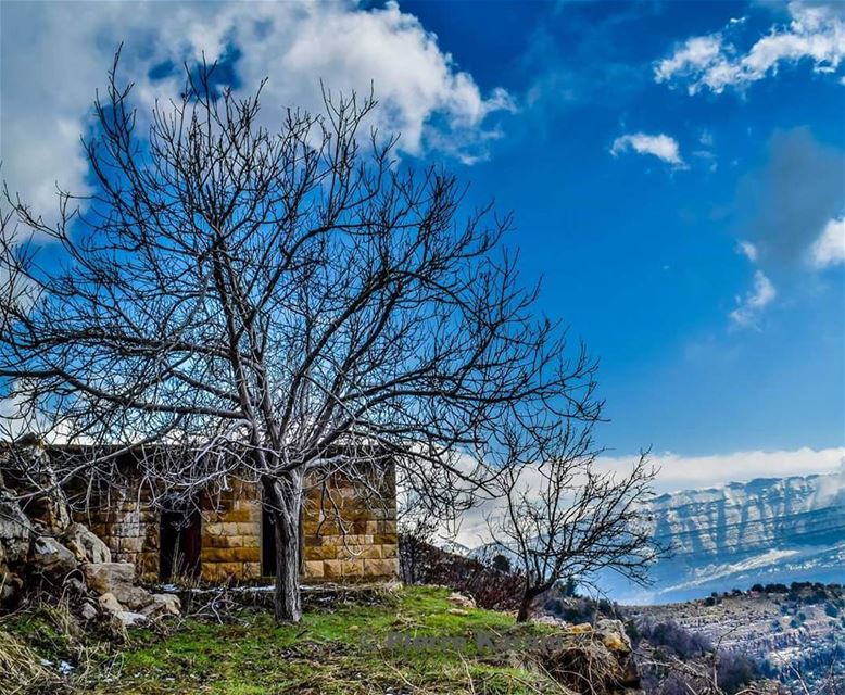  qartaba  old  house  traditional  tree  mountain  snow  clouds  bleu  sky...